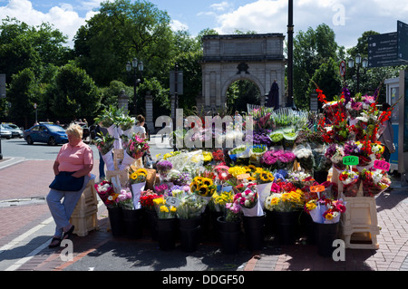 Marchande de fleurs et son étal en haut de Grafton Street, derrière St Stephens Green, Dublin, Irlande Banque D'Images