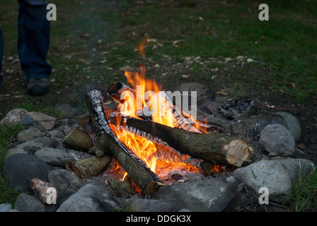 Feu de camp dans un foyer à bûches Banque D'Images