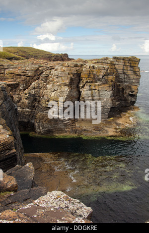 Côte sauvage, tête de Mull, Deerness, Orkney, Scotland UK Banque D'Images