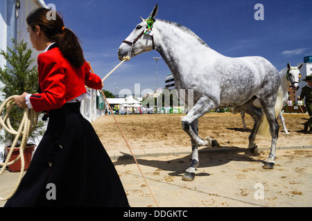 Fille en robe d'équitation traditionnelle en tenant son thoroughbred mare, à l'Cordoba Foire aux chevaux. Andalousie, Espagne Banque D'Images