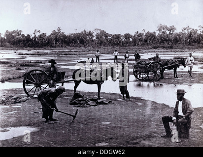 Le Lac d'asphalte, Trinidad, ca 1910 Banque D'Images