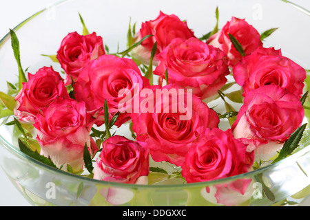 Roses dans un bol avec de l'eau Banque D'Images