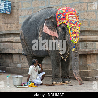 Temple décoré et éléphant mahout, quartier du temple Meenakshi Amman Temple, temple de Minakshi Sri ou Banque D'Images