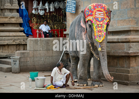 Temple décoré et éléphant mahout, quartier du temple Meenakshi Amman Temple, temple de Minakshi Sri ou Banque D'Images