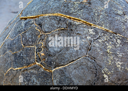 Moeraki Boulder, détail de la structure de pierre Banque D'Images