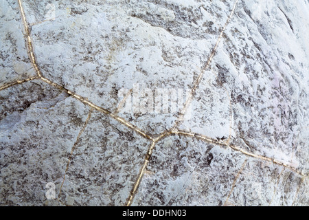 Moeraki Boulder, détail de la structure de pierre Banque D'Images