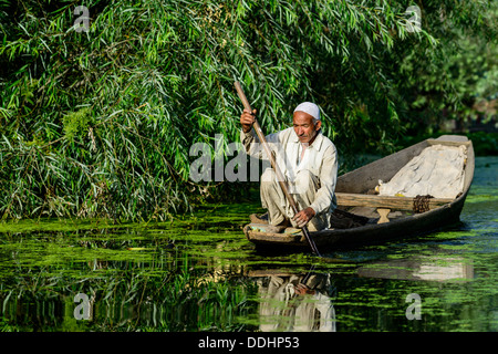 Un homme paddeling shikara dans un bateau sur un canal près de Dal Lake Banque D'Images