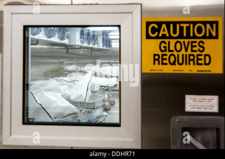 Cadavres dans le refroidisseur de l'État Bureau des examinateurs médicaux - Morgue Banque D'Images