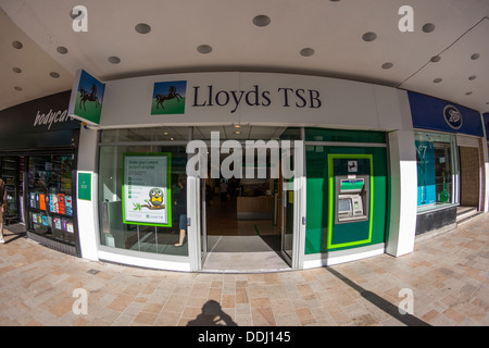 Lloyds TSB Bank Banque D'Images