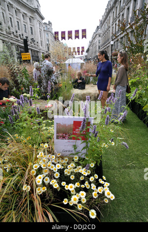 Les piétons admirant une petite bee-friendly jardin créé dans Regent Street le 28 août 2013 lorsqu'il a été fermé à la circulation. Banque D'Images