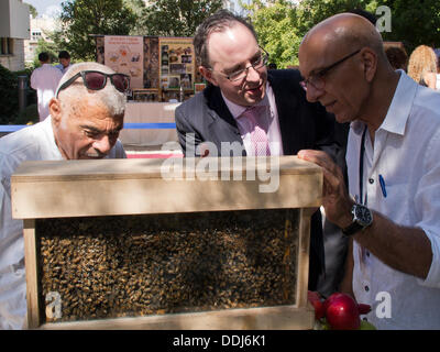 Jérusalem, Israël. 06Th Sep 2013. Les producteurs de miel et les apiculteurs israéliens pièce leur métier à une réception pour le Nouvel An juif organisé par Peres à la résidence des présidents pour les ambassadeurs étrangers en Israël. Jérusalem, Israël. 3-Septembre-2013. Président de l'état d'Israël, Shimon Peres, a organisé une réception et soulevé un toast au Nouvel An juif avec les ambassadeurs étrangers en Israël. Peres a prononcé un discours sur le conflit en Syrie, les négociations de paix et d'autres questions. Credit : Alon Nir/Alamy Live News Banque D'Images