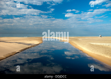 BEACH PARC D'ÉTAT D'Indiana Dunes Dunes National Lakeshore PORTER LE LAC MICHIGAN INDIANA USA Banque D'Images