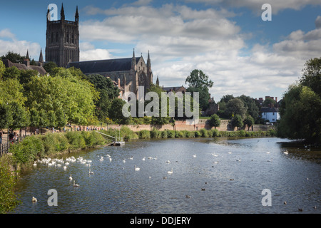 Vue de la cathédrale de Worcester Worcestershire Angleterre Severn River Banque D'Images