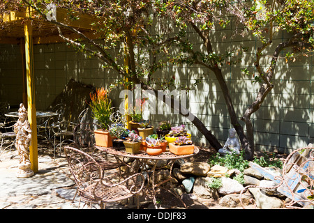 Plantes grasses et meubles en fer forgé afficher sur une terrasse ensoleillée avec des ombres intéressantes. Banque D'Images