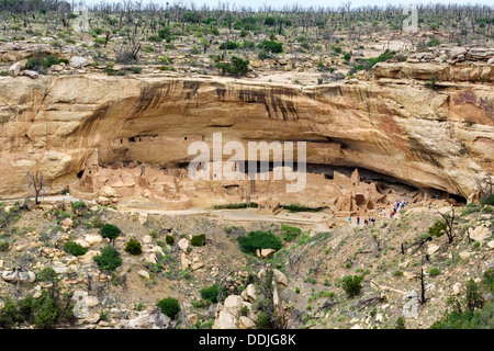 Maison longue des ruines, vu de l'oublier sur la ligne de tram, Wetherill Mesa, Mesa Verde National Park, Cortez, États-Unis Banque D'Images