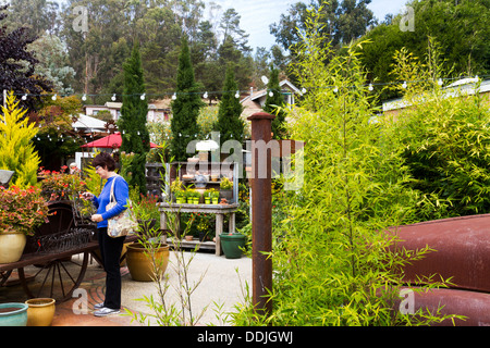 Femme d'âge moyen parcourt une pépinière parmi une collection de plantes luxuriantes dans la région de Cambria, Californie Banque D'Images