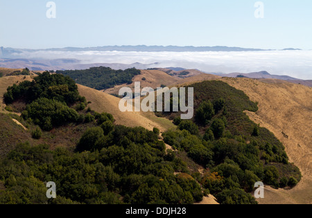 Banc de brouillard de faible altitude vu de RTE. 46 près de Paso Robles, Californie Banque D'Images