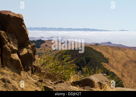 Banc de brouillard de faible altitude vu de RTE. 46 près de Paso Robles, Californie Banque D'Images