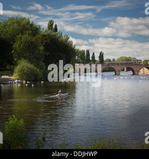 L'homme de l'aviron sur la rivière Severn Worcester Angleterre Worcestershire Banque D'Images