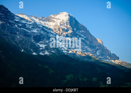 Vue sur l'Eiger depuis Grindelwald, Suisse Début de la lumière du matin Banque D'Images