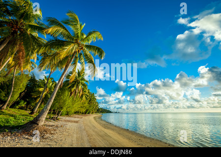 Îles Cook tropicale déserte : plage de sable blanc aux eaux turquoises et de palmiers, l'île de Aitutaki Amuri - Pacifique Sud Banque D'Images