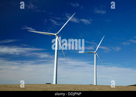 Éoliennes au mont Stuart wind farm, près de Milton, au sud de l'Otago, île du Sud, Nouvelle-Zélande Banque D'Images