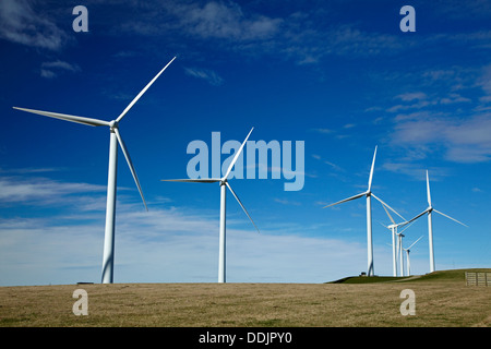 Éoliennes au mont Stuart wind farm, près de Milton, au sud de l'Otago, île du Sud, Nouvelle-Zélande Banque D'Images