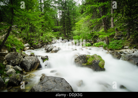 Rivière de montagne. C'est une longue exposition Shot Banque D'Images