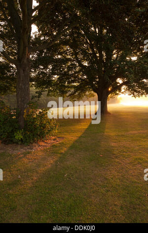 Abington, Northampton, Royaume-Uni. 4e Septembre, 2013. Brume matinale brûlant comme le soleil se lève sur l'un des plus grands parcs dans le Northamptonshire, la promesse d'une autre belle journée à venir. Credit : Keith J Smith./Alamy Live News Banque D'Images
