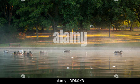 Abington, Northampton, Royaume-Uni. 4e Septembre, 2013. Brume matinale brûlant comme le soleil se lève sur l'un des plus grands parcs dans le Northamptonshire, la promesse d'une autre belle journée à venir. Credit : Keith J Smith./Alamy Live News Banque D'Images