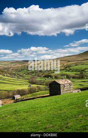 Swaledale supérieur près de Mickfield, Yorkshire Dales National Park Banque D'Images