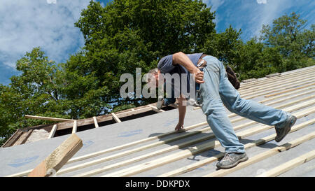 Llanwrda, Pays de Galles, UK 4e Sept 2013. Builders Brian White et Jim Hill mettant un nouveau toit sur un milieu rural grange en pierre Gallois dans fabuleuse sunshine météo. Kathy deWitt/Alamy Live News Banque D'Images