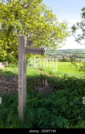 Le Cotswold Way National Trail sur les collines au-dessus de la ville de Cotswold, Chipping Campden Gloucestershire UK Banque D'Images