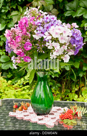 Still Life bouquet de phlox au vase vert avec nappe au crochet et petits fruits Banque D'Images