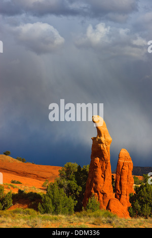 Averses de pluie au jardin près de Devils Escalante, Utah Banque D'Images