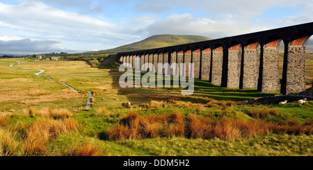 Ingleborough, au-delà du célèbre viaduc Ribblehead, la vallée de Ribble, Yorkshire Dales National Park, England Banque D'Images