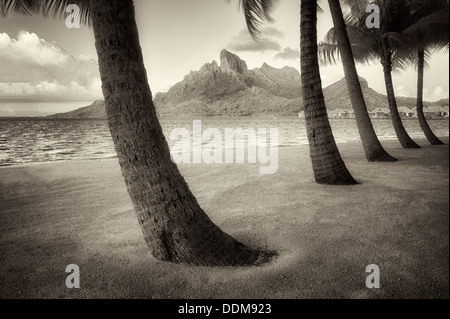 Plage de sable avec des palmiers et de Mt. Otemanu. Bora Bora. La Polynésie française. Banque D'Images