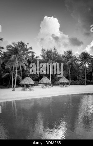 Unbrellas et chaises sur Lagoon beach. Bora Bora. La Polynésie française. Banque D'Images