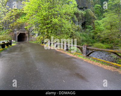 Vieux routier de la rivière Columbia et tunnel. Columbia River Gorge National Scenic Area. Oregon Banque D'Images