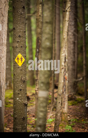 Men's and women's restroom sign in a forest Banque D'Images