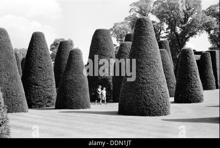 Yew Garden, Packwood House, Lapwood, Warwickshire, 1945-1980. Artiste : Eric de Maré Banque D'Images