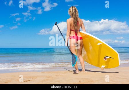 Jolie femme avec Stand Up Paddle Board, SUP, sur la plage à Hawaii Banque D'Images