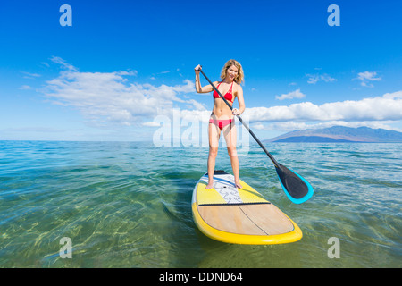 Attractive Woman on Stand Up Paddle Board, SUP, Hawaii, l'océan bleu tropical Banque D'Images