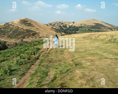 Malvern Hills avec des promeneurs - Regard sur la colline du nord (à droite) et du pain de la flancs de colline Beacon Worcestershire. Banque D'Images