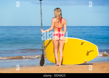 Jolie femme avec Stand Up Paddle Board, SUP, sur la plage à Hawaii Banque D'Images