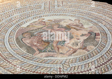 Chypre, Pafos ville, Gazibaf, site de l'ancienne ruine, parc archéologique, mosaic Banque D'Images