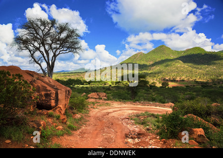 La masse rouge chemin de terre et bush avec paysage de savane en Afrique. L'Ouest de Tsavo, au Kenya. Banque D'Images