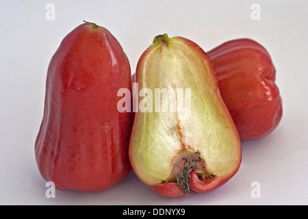 Apple, Apple Cire Rose, l'amour d'Apple, Apple, Java, Chomphu (Syzygium samarangense Chompoo), de fruits exotiques de l'Asie du sud-est Banque D'Images