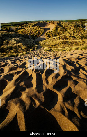 Des modèles dans les dunes de sable de Croyde Bay sur la côte nord du Devon Banque D'Images