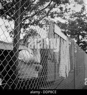 Un homme le rasage à la Royal Agricultural Show, Newcastle upon Tyne, c1946-c1959. Artiste : John Gay Banque D'Images